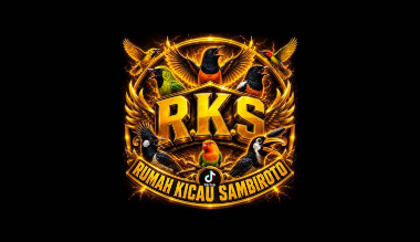 Loker Crew Toko di Rumah Kicau Sambiroto